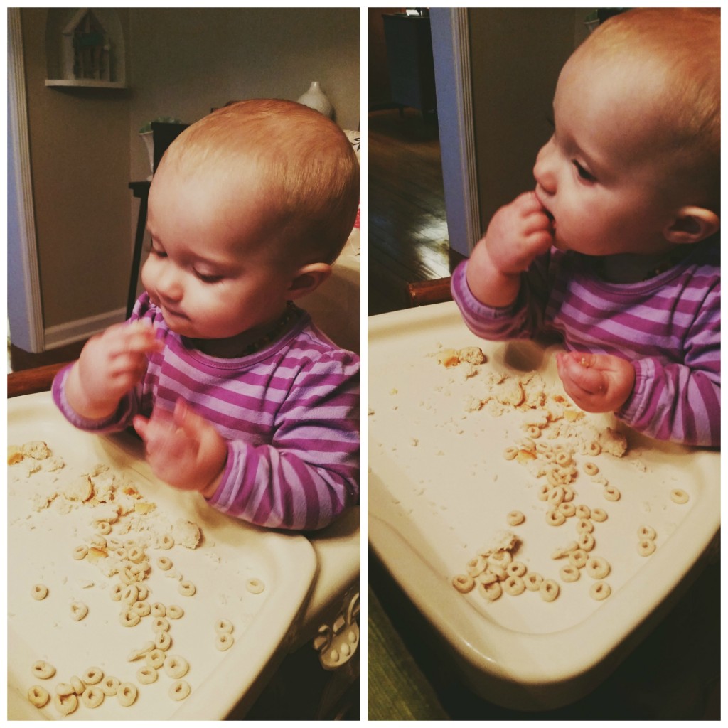 Baby-led Weaning - Kohler Created